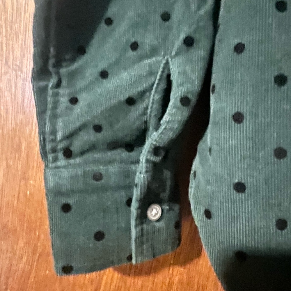 Ann Taylor Loft Velvet Dot Corduroy Everyday Shirt Emerald Green Sz S Button Up - Picture 5 of 8